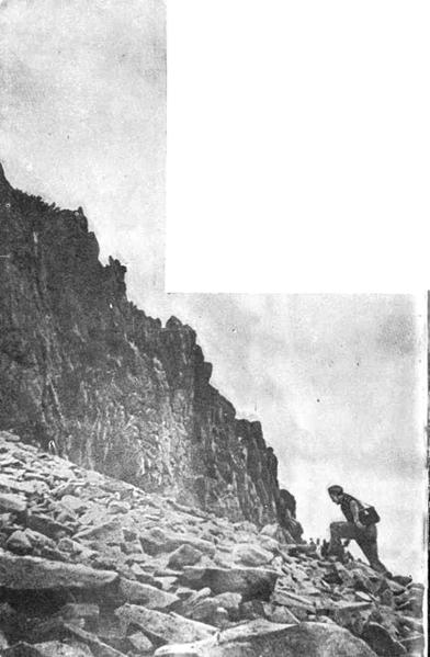 Человек атакует природу