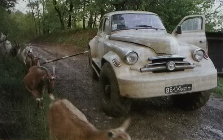 Общий вид Победителя